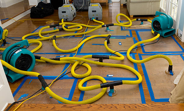 Professional Sewage Cleanup technician working in Paris, AR